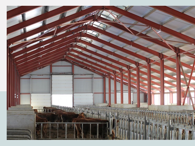 Строительство коровников в Новокузнецке