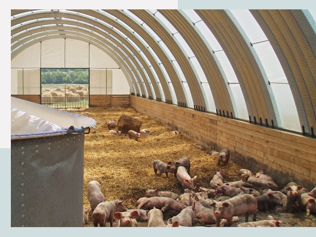 Строительство свинарников в Новокузнецке