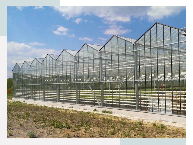 Строительство теплиц в Новокузнецк от 616 руб. за м²