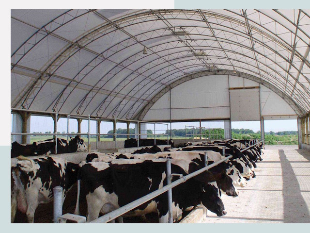 Тентовые коровники в Новокузнецке